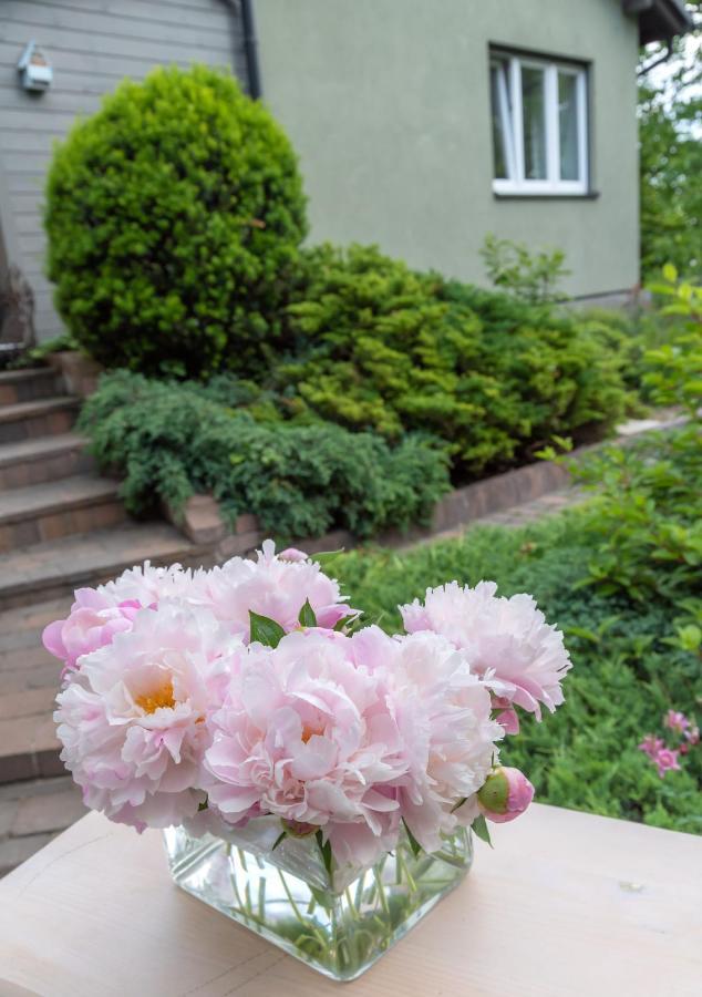 Green House - Two Bedroom Apartment Bielsko-Biala Exterior foto